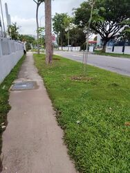 Loyang Industrial Estate (D17), Factory #488251541
